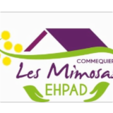 Logo de l'entreprise EHPAD LES MIMOSAS