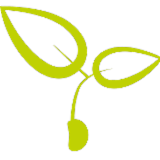 Logo de l'entreprise GRAINES & COMPETENCES