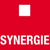 Logo de l'entreprise SYNERGIE CHATEAU DU LOIR
