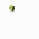 Logo de l'entreprise TRENVI