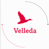Logo de l'entreprise SARL VELLEDA