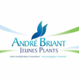 Logo de l'entreprise ANDRE BRIANT JEUNES PLANTS