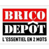Logo de l'entreprise BRICO DEPOT