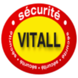 Logo de l'entreprise EURL VITALL SECURITE