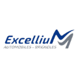 Logo de l'entreprise EXCELLIUM