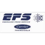 Logo de l'entreprise EFS 91