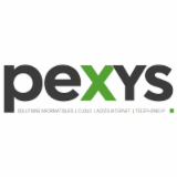 Logo de l'entreprise PEXYS