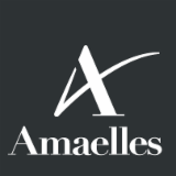 Logo de l'entreprise AMAELLES