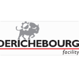 Logo de l'entreprise DERICHEBOURG PROPRETE