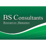 Logo de l'entreprise SARL BS CONSULTANTS