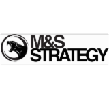 M S STRATEGY