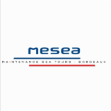 Logo de l'entreprise MESEA
