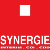 Logo de l'entreprise SYNERGIE OYONNAX