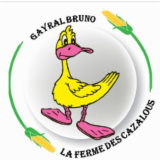 Logo de l'entreprise GAYRAL BRUNO