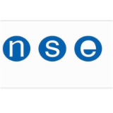 Logo de l'entreprise NSE