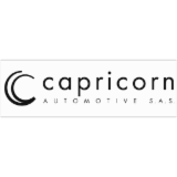 Logo de l'entreprise CAPRICORN AUTOMOTIVE