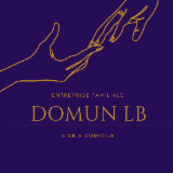 Logo de l'entreprise DOMUNLB