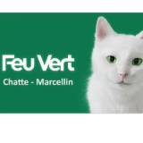 Logo de l'entreprise FEU VERT CHATTE/ST MARCELLIN