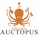 AUCTOPUS Centre Esthétique Automobile