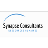 SYN@PSE CONSULTANTS