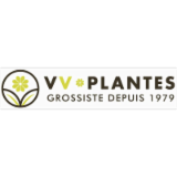 VV PLANTES