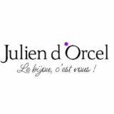 JULIEN D ORCEL