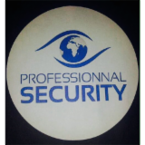 SECURITY PROFESSIONAL