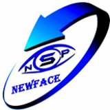 NEWFACE SECURITE PRIVEE NSP SAS