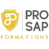 PRO S.A.P FORMATIONS