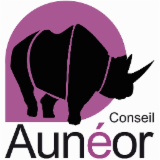 AUNEOR CONSEIL