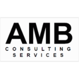 AMB CONSULTING SERVICES