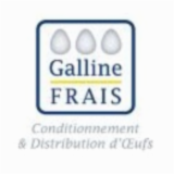 GALLINE FRAIS
