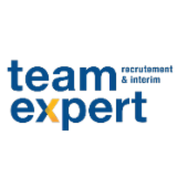Team expert 